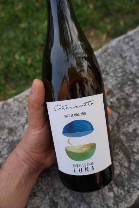 vino bianco Catarratto azienda La Valle della Luna (Partanna)