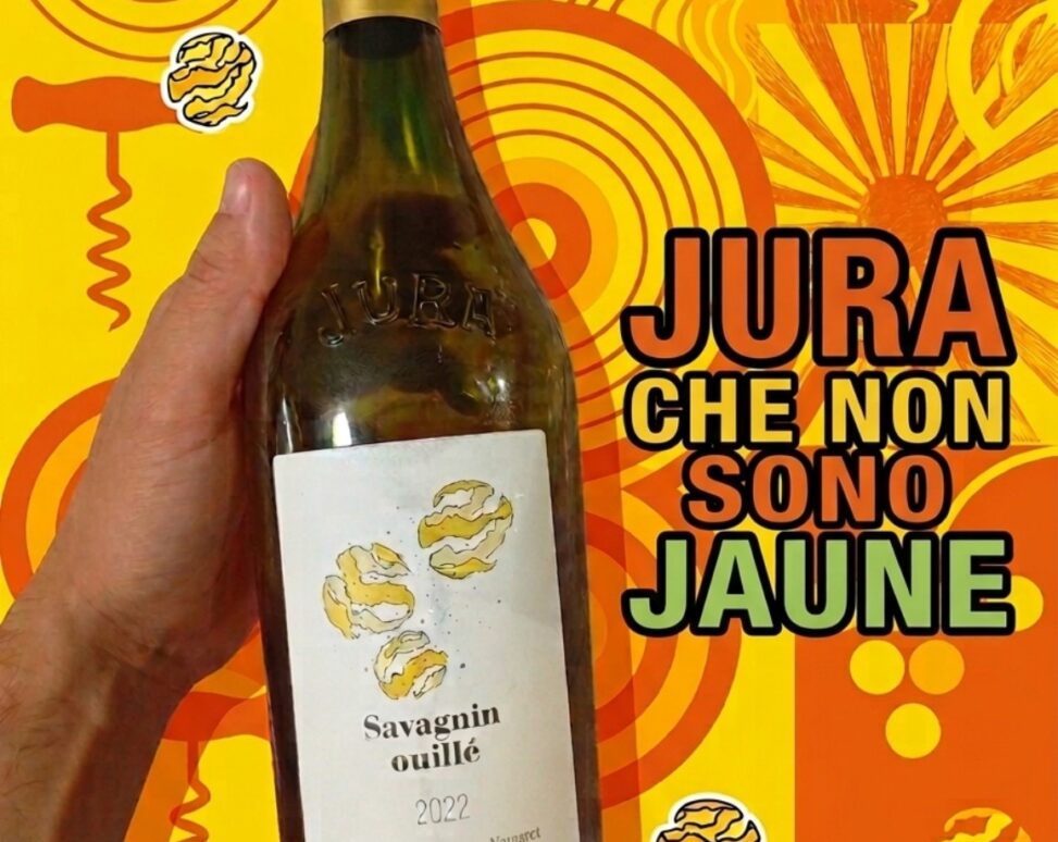 Savagnin Ouillé 2022 di Marie-Pierre Chevassu-Fassenet, vino dello Jura