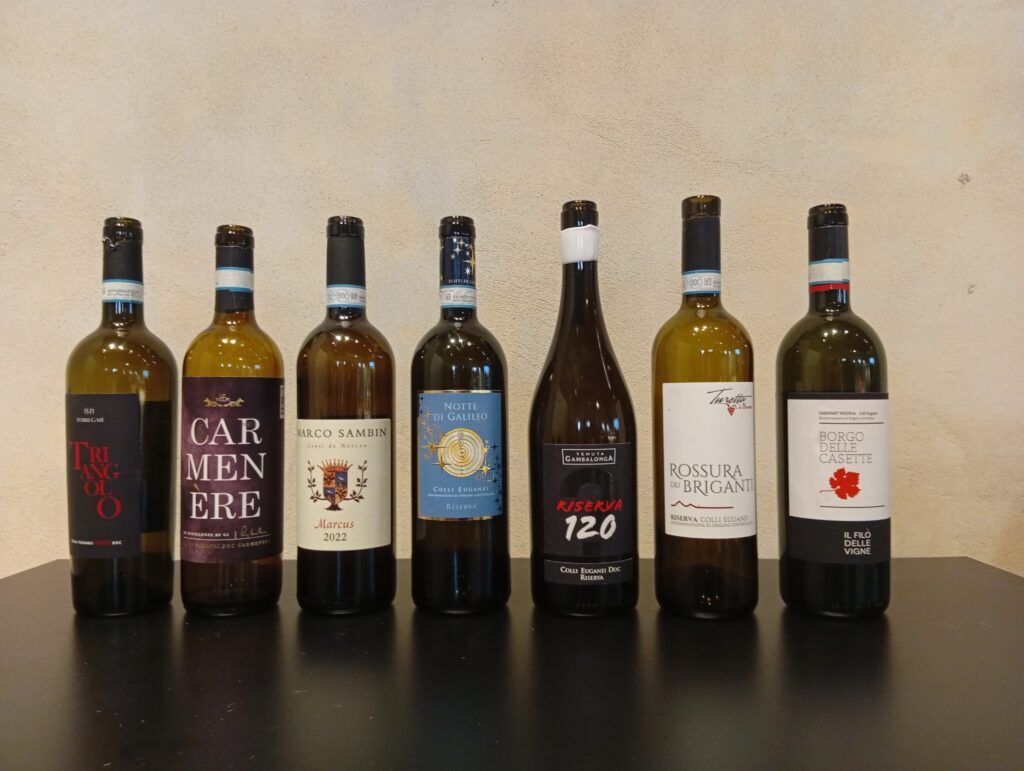 Masterclass Colli Euganei a Rosso Autoctono evento AIS